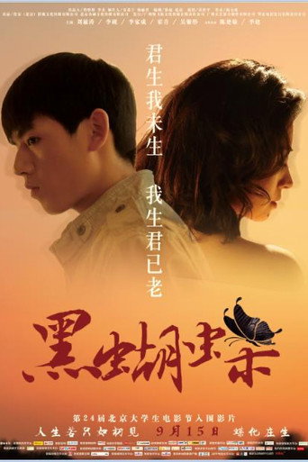 Póster de 黑蝴蝶