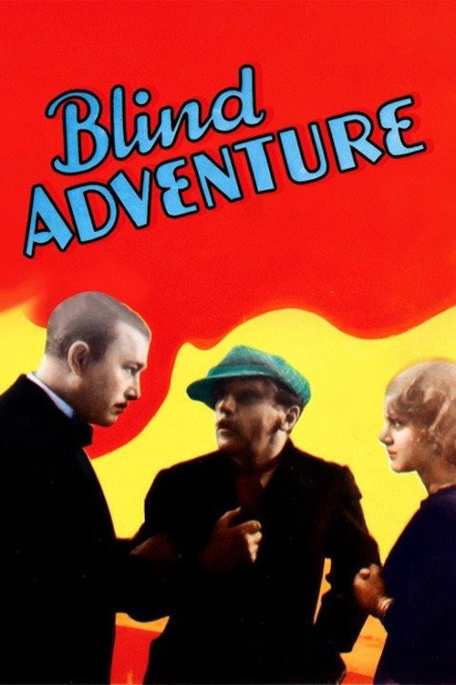 Póster de Blind Adventure