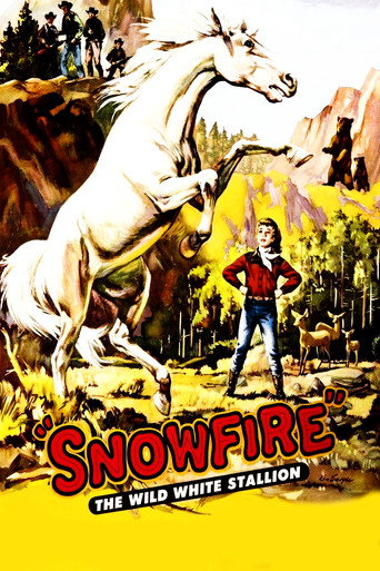 Póster de Snowfire