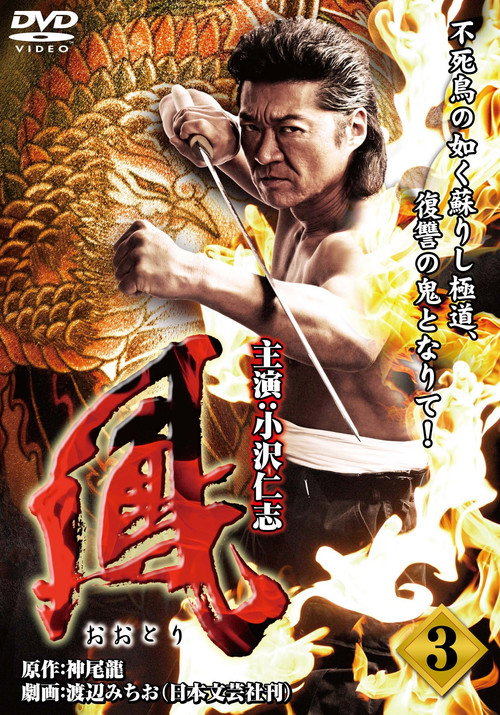 Póster de 鳳（おおとり）3