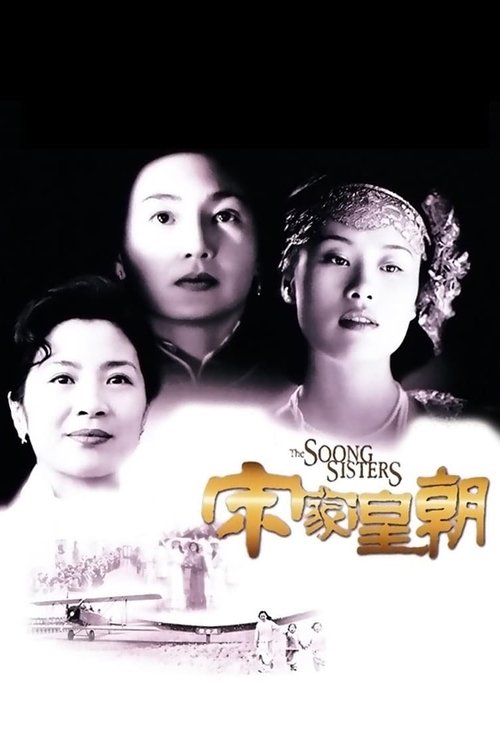 Póster de 宋家皇朝