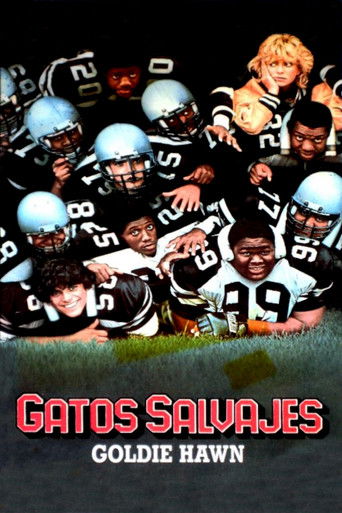 Póster de Échame la pelota, chica (Wildcats)