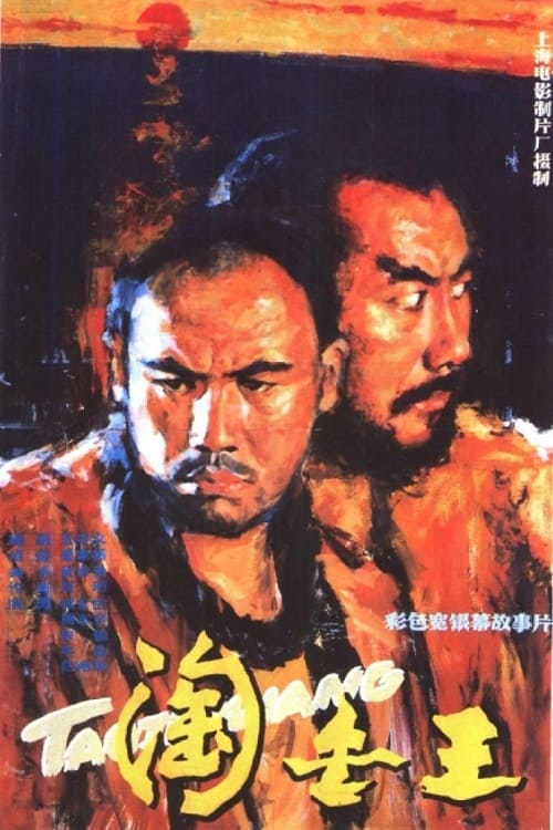 Póster de 淘金王
