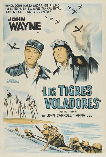 Póster de Los tigres voladores