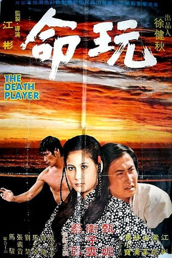 Póster de 玩命