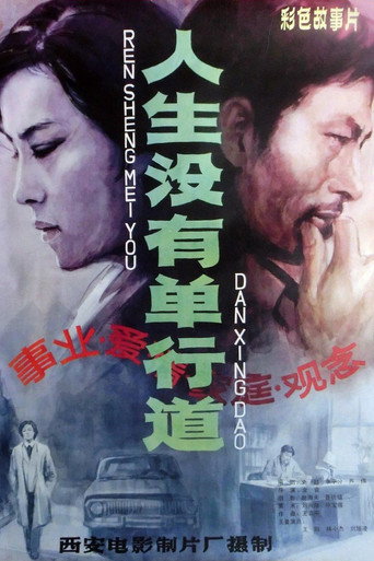 Póster de 人生没有单行道