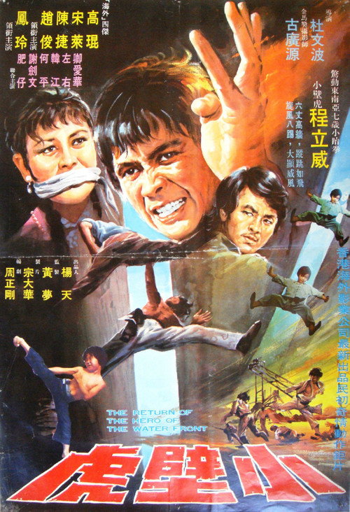 Póster de 小壁虎