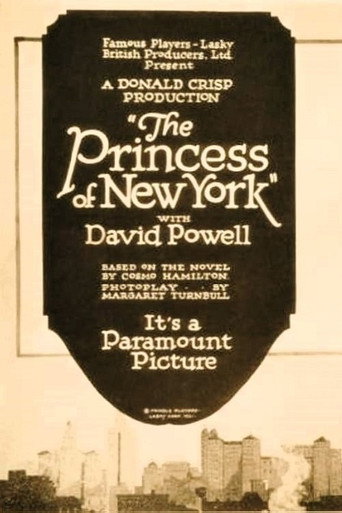 Póster de The Princess of New York
