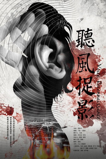 Póster de 听风捉影