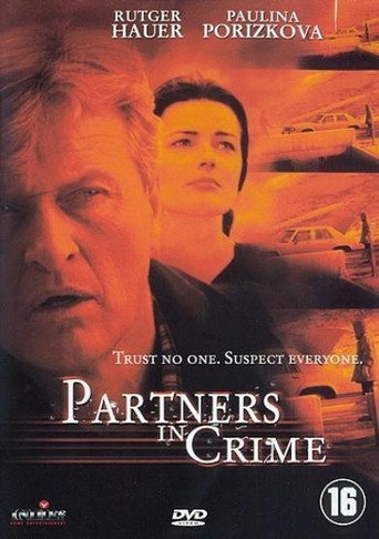 Póster de Partners in Crime