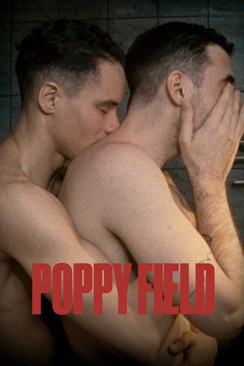 Póster de Câmp de maci