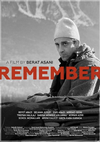 Póster de Remember