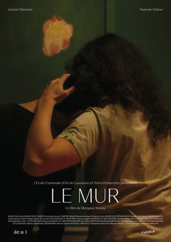 Póster de Le Mur