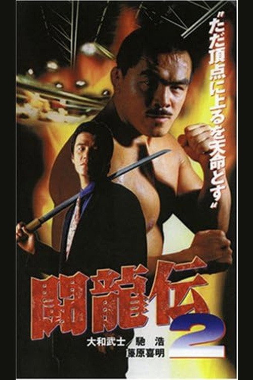 Póster de 闘龍伝２