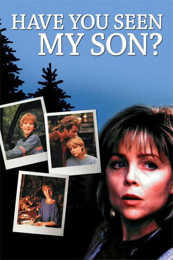 Póster de Have You Seen My Son