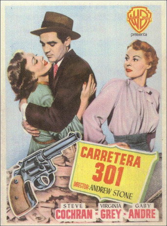 Póster de Highway 301