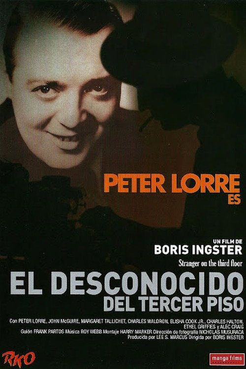 Póster de Stranger on the Third Floor