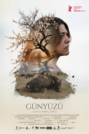 Póster de Günyüzü