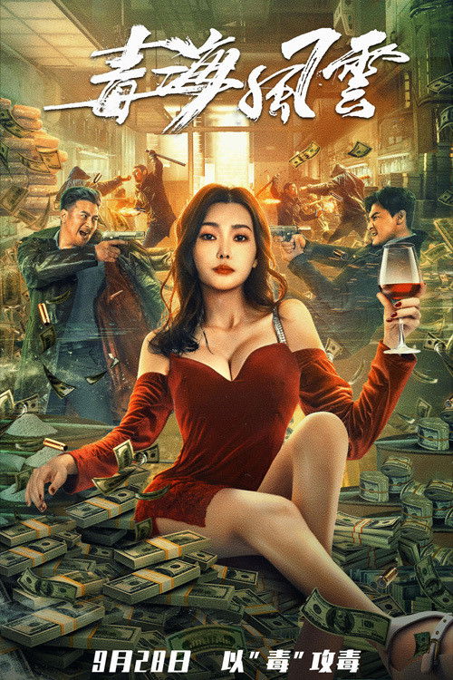 Póster de 毒海风云