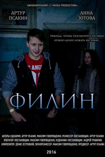 Póster de Filin