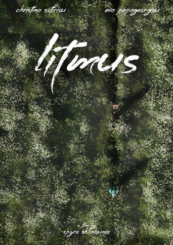 Póster de Litmus