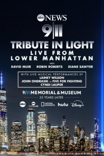Póster de 9/11 Tribute in Light: Live from Lower Manhattan
