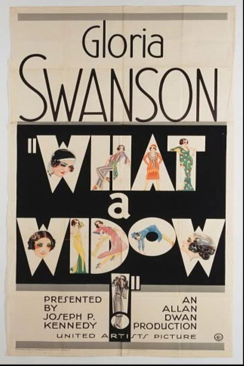 Póster de What a Widow!