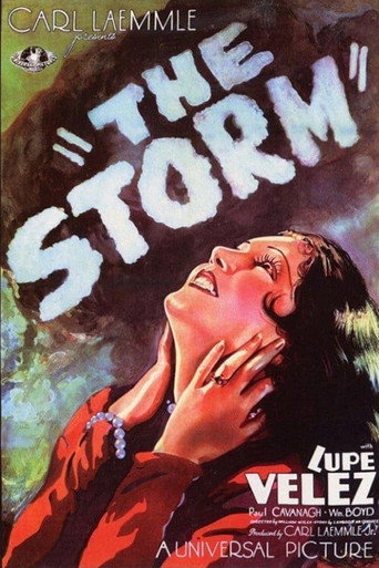 Póster de The Storm