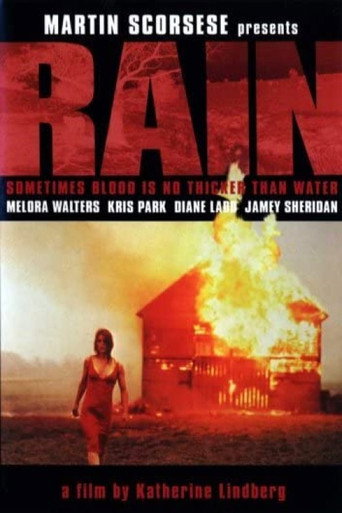 Póster de Rain