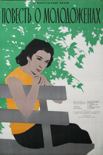 Póster de The Story about Newlyweds