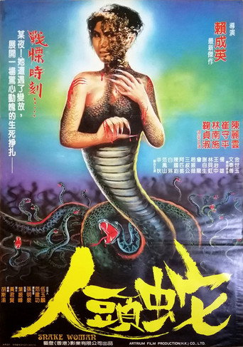 Póster de 夢女恨