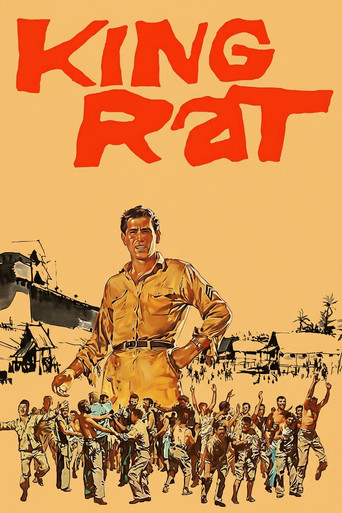 Póster de King Rat