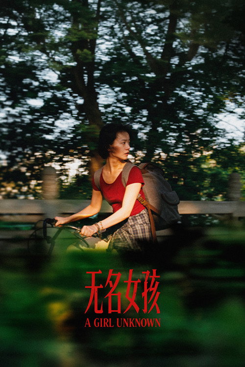 Póster de 无名女孩