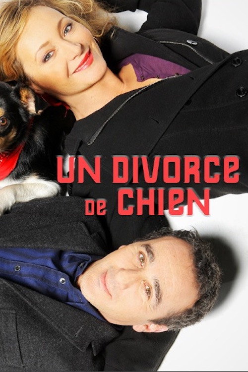 Póster de Un divorce de chien