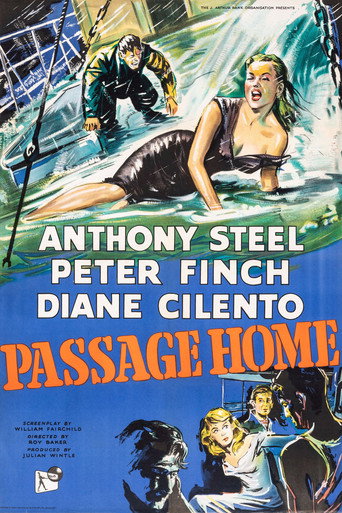 Póster de Passage Home