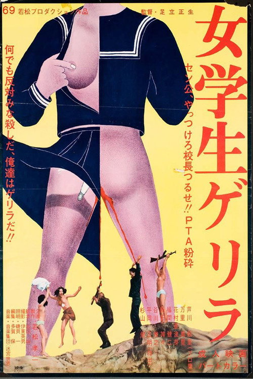 Póster de 女学生ゲリラ