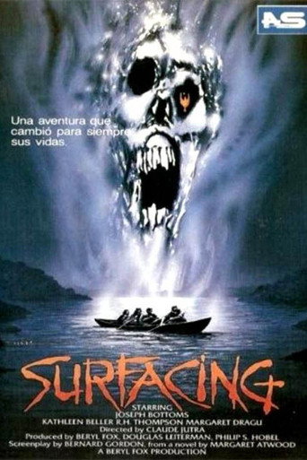 Póster de Surfacing