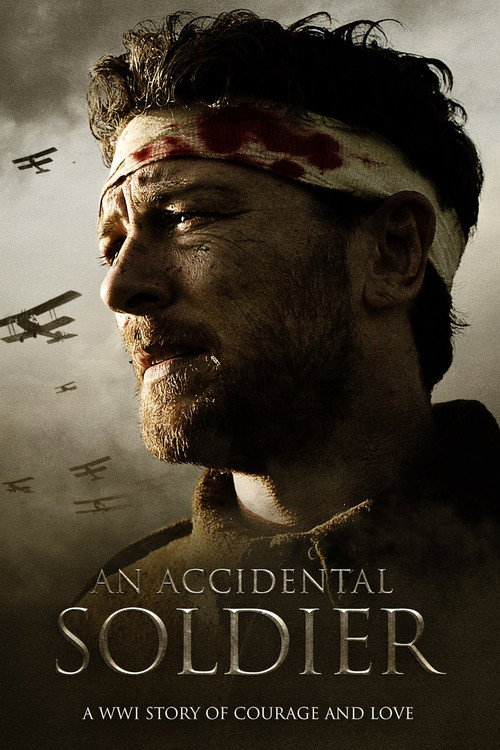 Póster de An Accidental Soldier