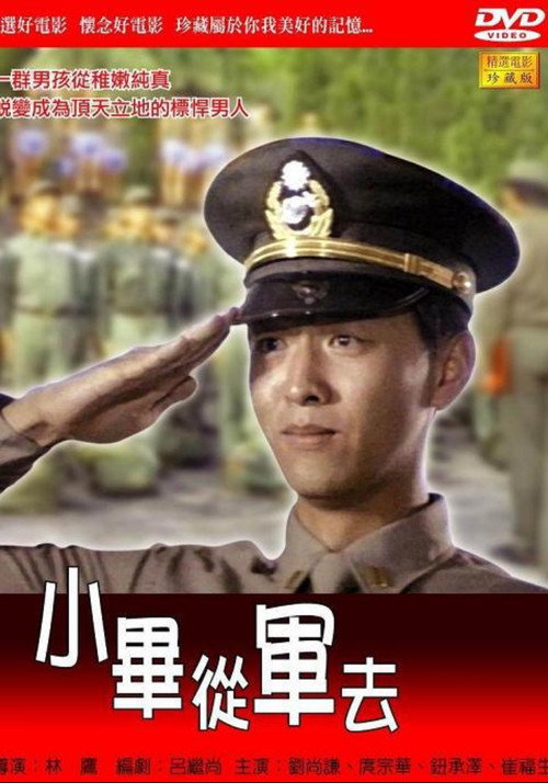 Póster de 小畢從軍去
