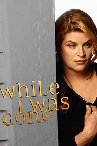 Póster de While I Was Gone