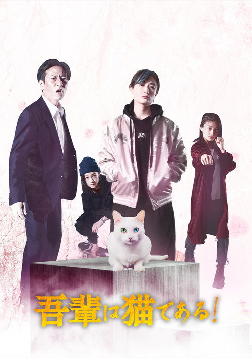 Póster de 吾輩は猫である!