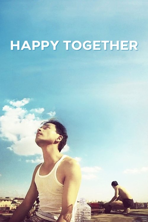 Póster de Happy together