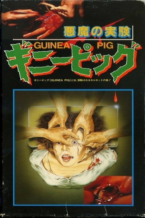 Póster de Guinea Pig 1 The Devils Experiment