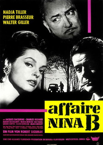 Póster de L'Affaire Nina B.