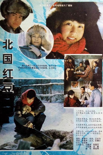 Póster de 北国红豆