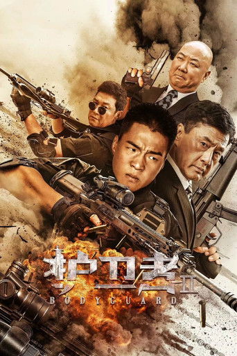 Póster de 护卫者2