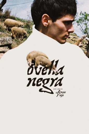 Póster de Ovella Negra