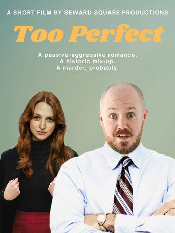 Póster de Too Perfect