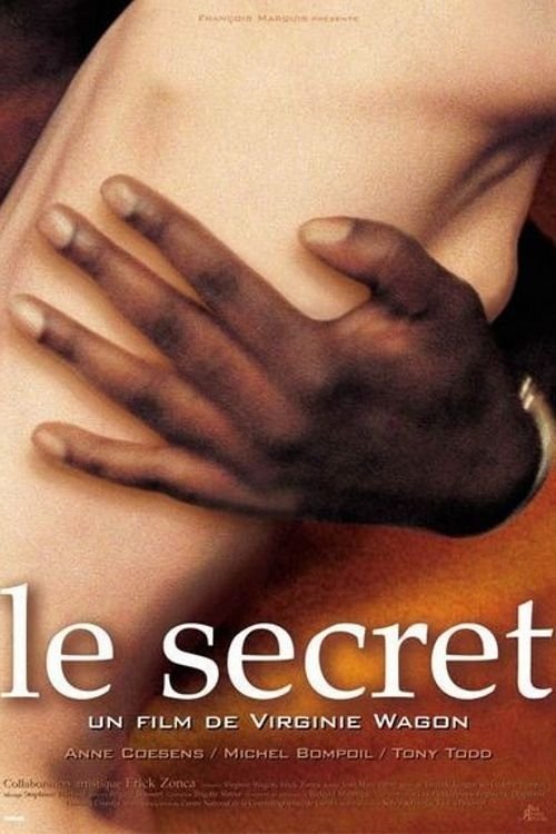Póster de El Secreto