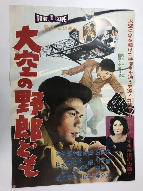 Póster de 大空の野郎ども